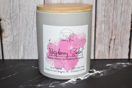 12oz Raspberry Sorbet Soy Candle | Black Cherry, Raspberry, & Vanilla